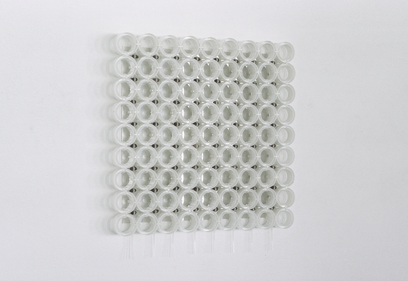 O.T. (Teil einer Fassade), 2008