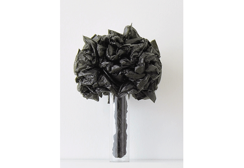 Ttenblte Nr. 7 (Schwarz), 2010